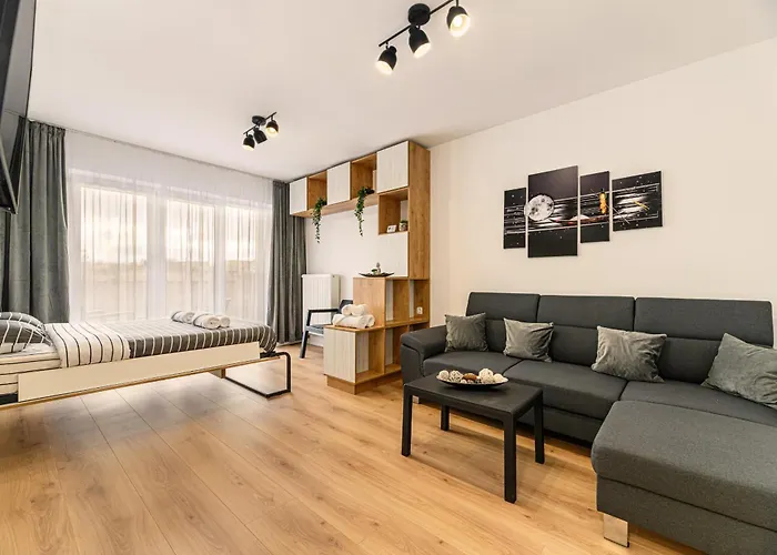 Mohost Luxury Landing s Complex Qualis Brasov
